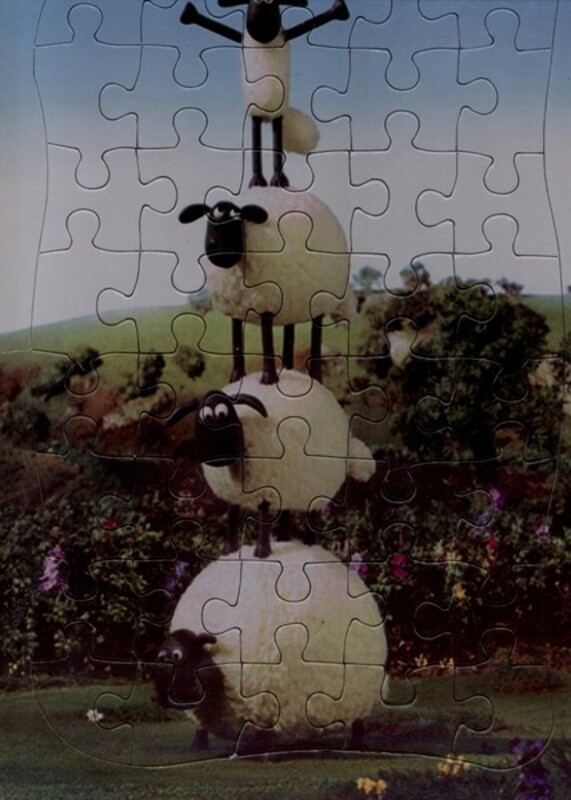 کتاب پازل پشت وایت بردی بره ناقلا سایه گستر