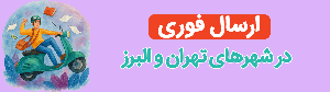 ارسال فوری