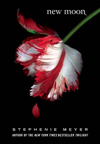 دانلود کتاب رمان New Moon اثر Stephenie Meyer زبان اصلی