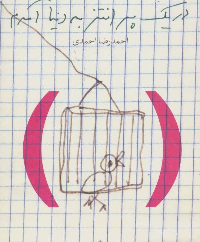 کتاب در یک پرانتز به دنیا آمدم