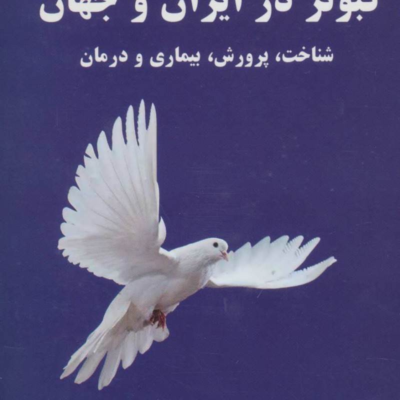 کتاب کبوتر در ایران و جهان