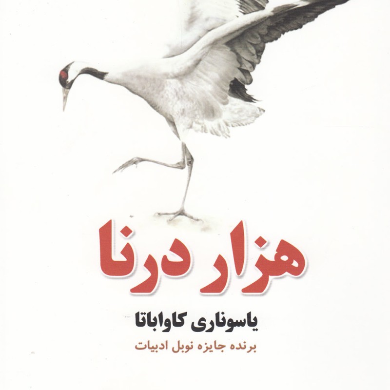 کتاب هزار درنا نشر آمه