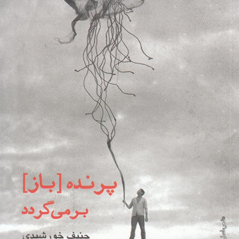 کتاب پرنده باز برمی گردد