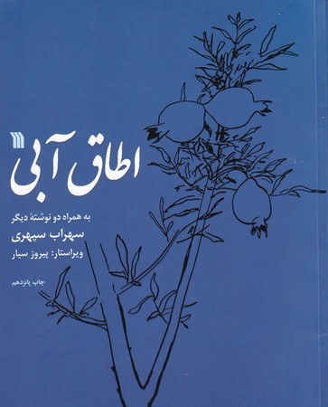 کتاب اطاق آبی