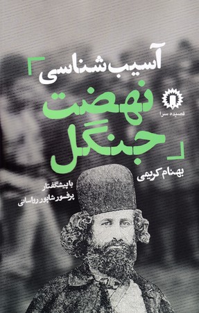 آسیب شناسی نهضت جنگل شمیز،رقعی،قصیده سرا