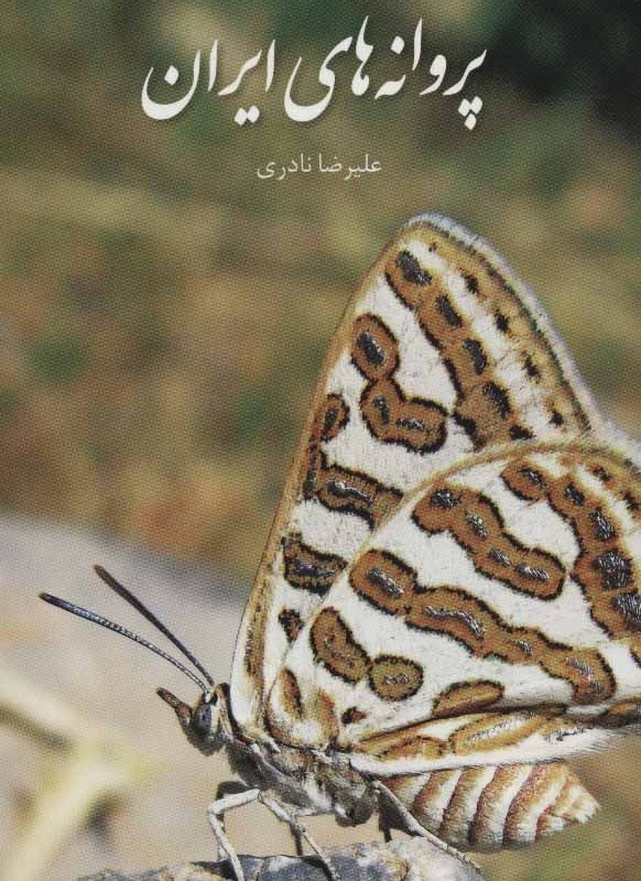 پروانه های ایران