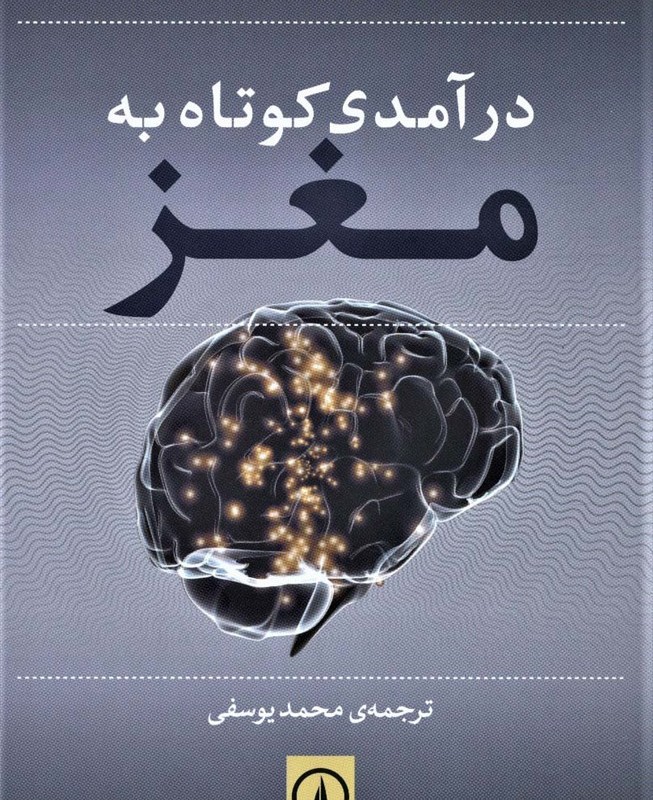 درآمدی کوتاه به مغز