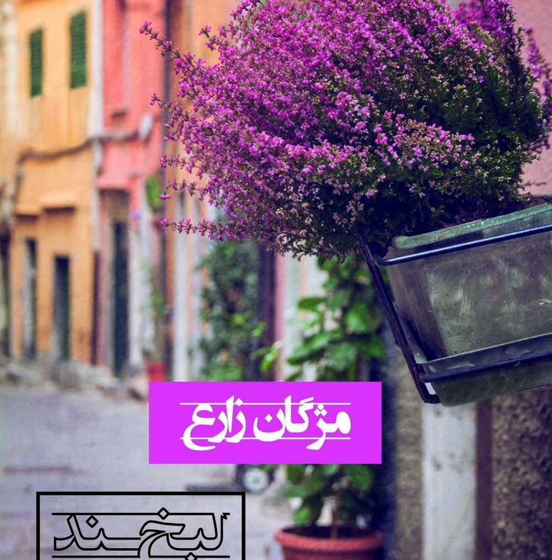 لبخند نیمه شب