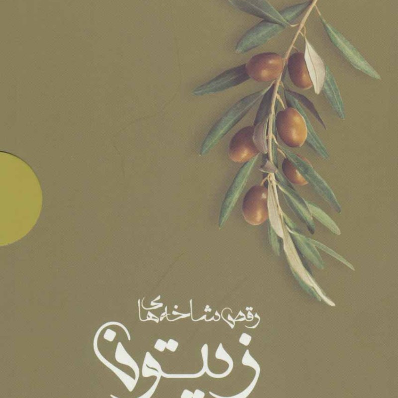 رقص شاخه های زیتون نشر شالان