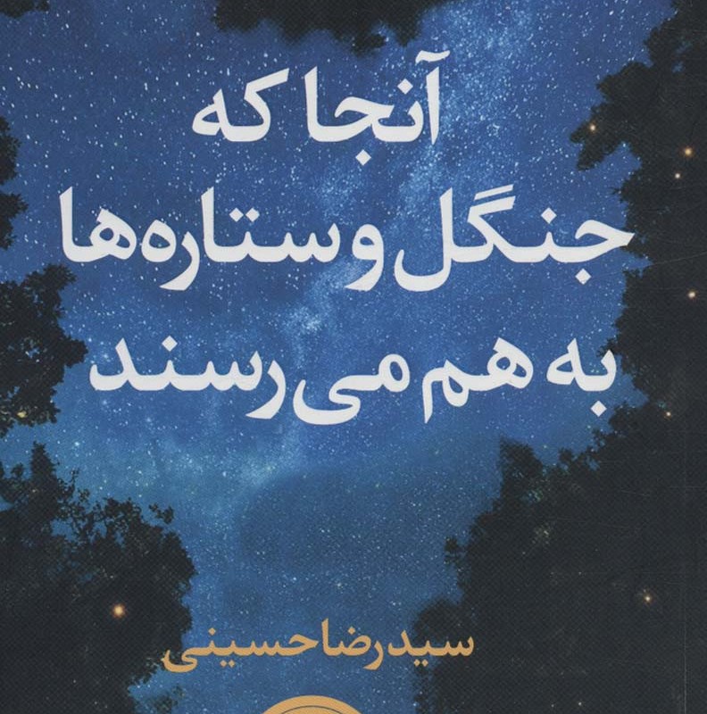 آنجا که جنگل و ستاره ها به هم می رسند - گلندی وندرا