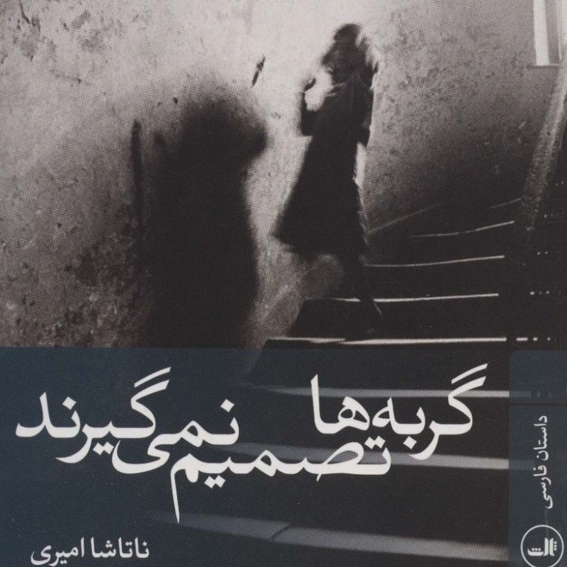 گربه ها تصمیم نمی گیرند