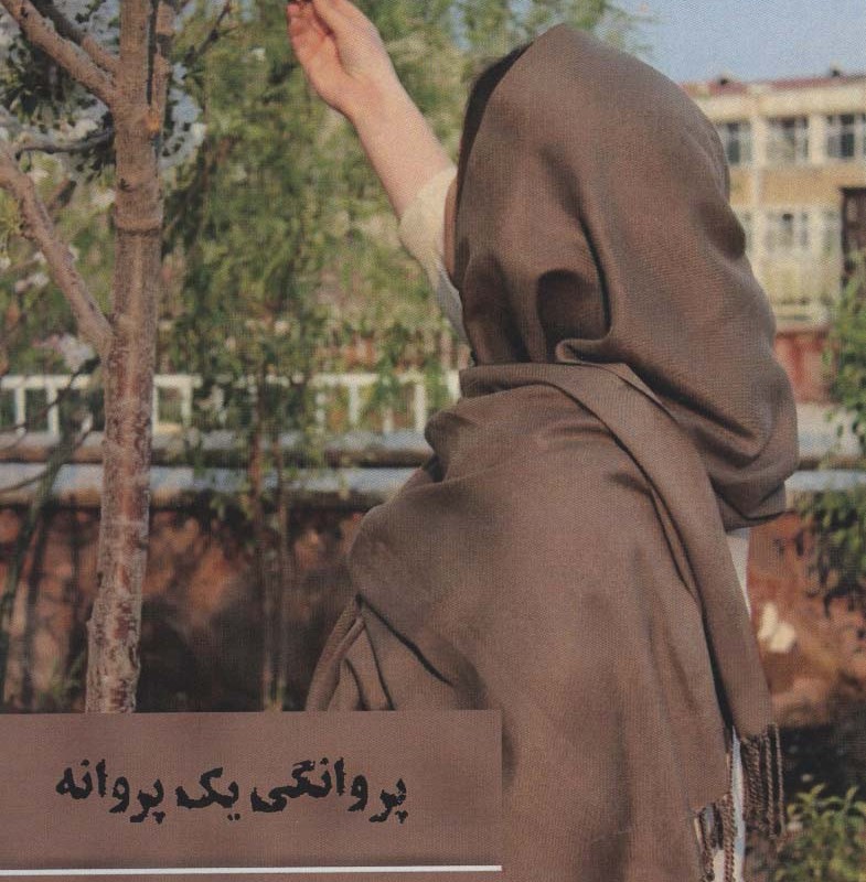 پروانگی یک پروانه