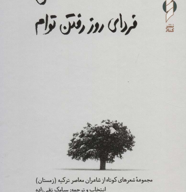 من فردای روز رفتن توام
