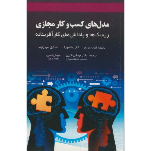 مدل های کسب و کار مجازی - کارین بریدر