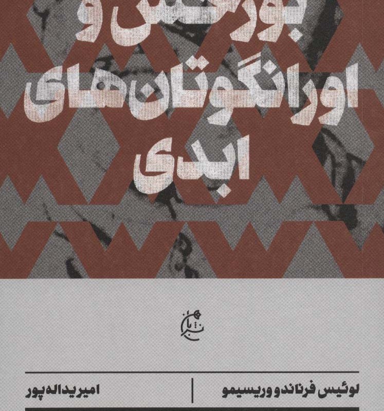 بورخس و اورانگوتان های ابدی