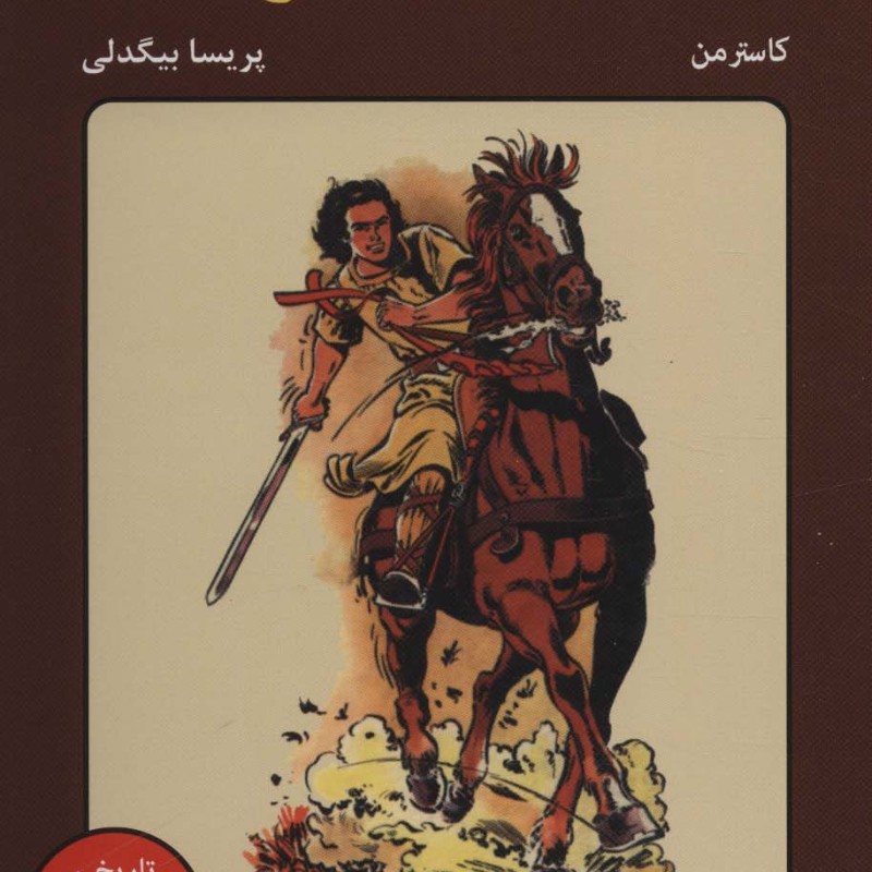 شوالیه شجاع