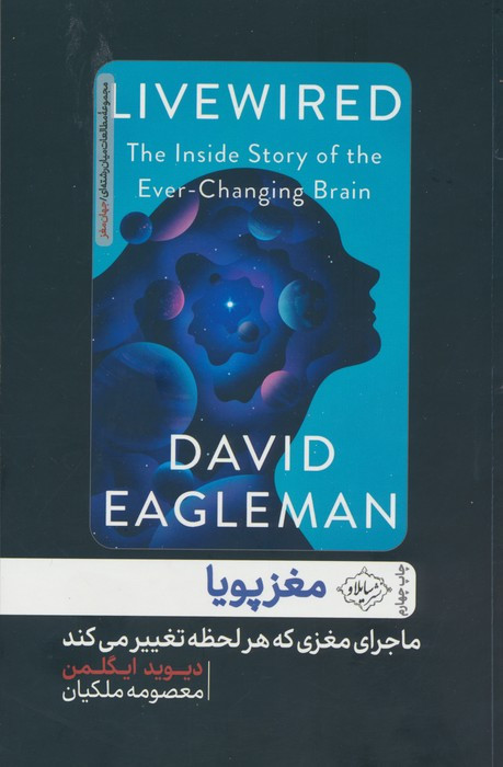 مغز پویا