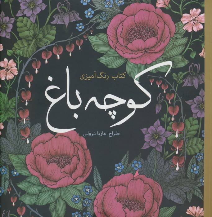 رنگ آمیزی بزرگسالان کوچه باغ