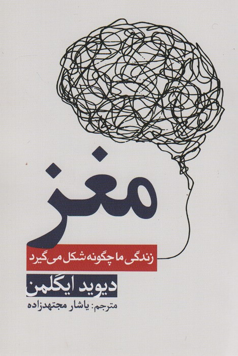مغز زندگی ما چگونه شکل می گیرد