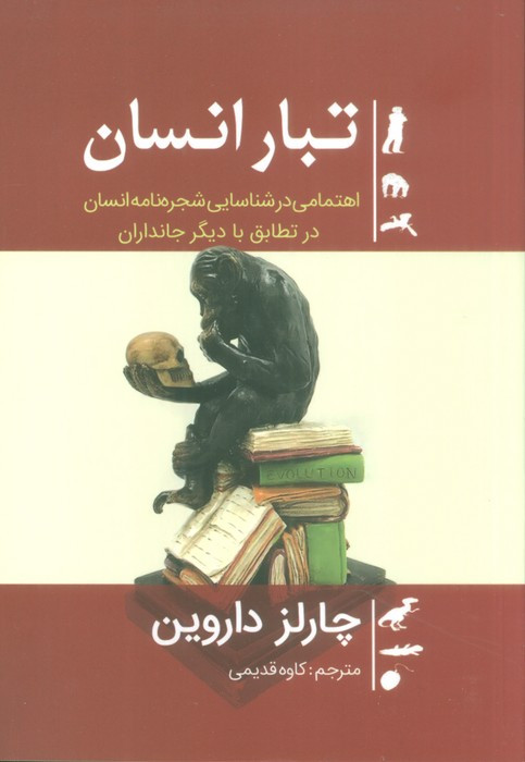 تبار انسان