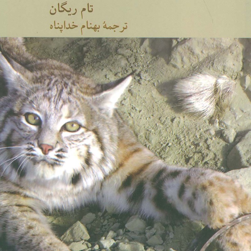 حق حیوان خطای انسان
