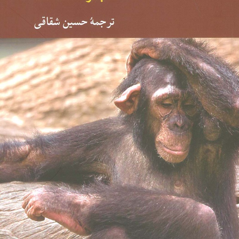 معرفت شناسی طبیعی شده