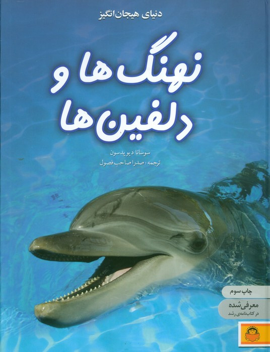 دنیای هیجان انگیز 4 نهنگ ها و دلفین ها