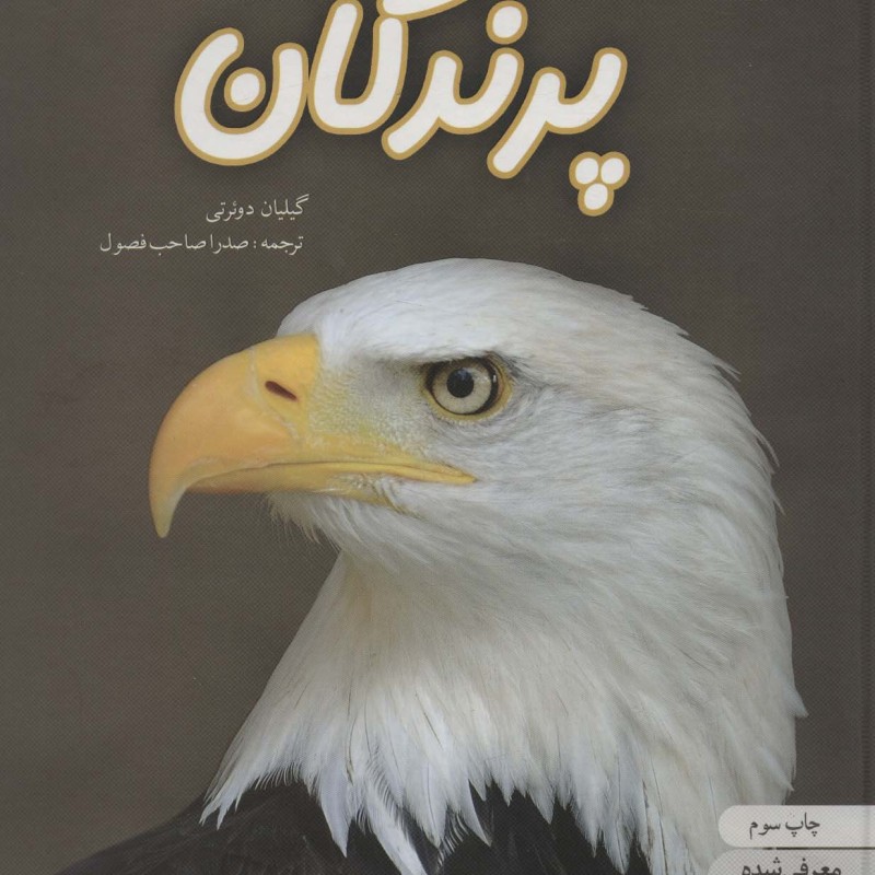 دنیای هیجان انگیز پرندگان