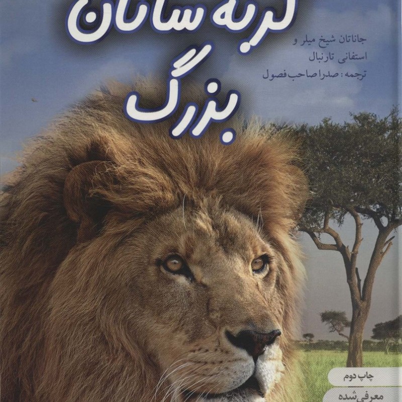 دنیای هیجان انگیز گربه سانان بزرگ