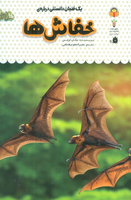 یک فنجان دانستنی درباره ی خفاش ها