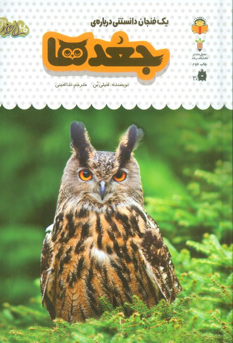 یک فنجان دانستنی درباره ی جغدها