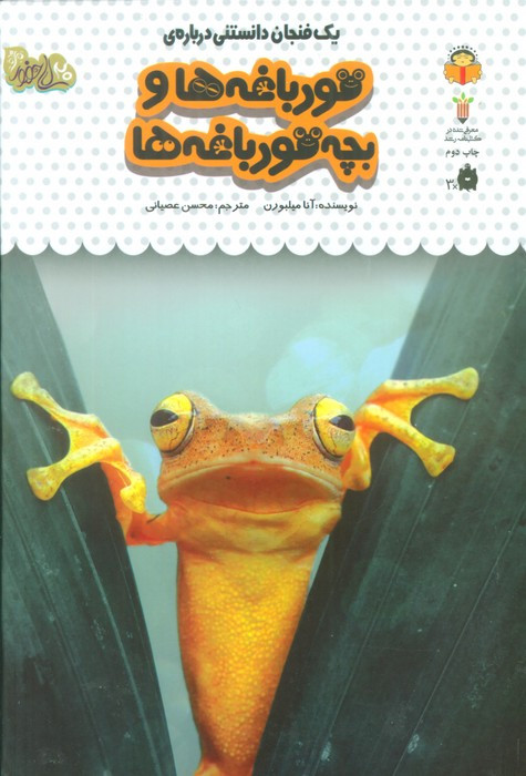 یک فنجان دانستنی درباره ی قورباغه ها و بچه قورباغه ها