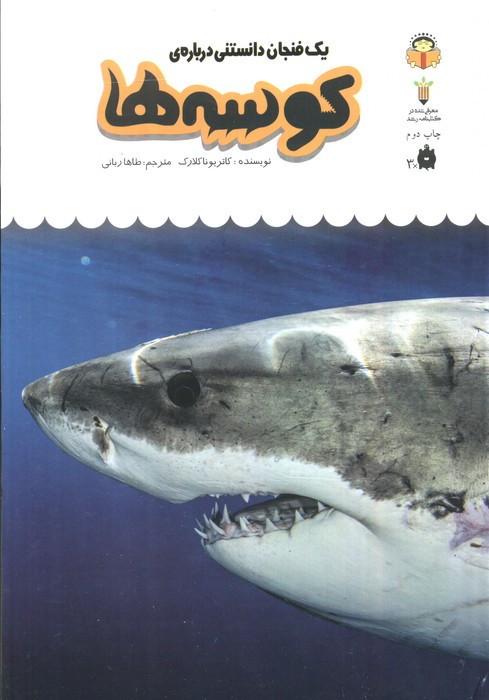 یک فنجان دانستنی درباره ی کوسه ها
