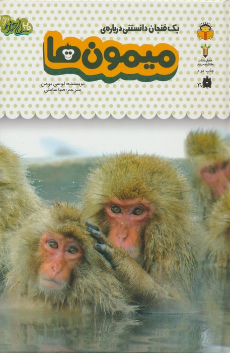 یک فنجان دانستنی درباره ی میمون ها