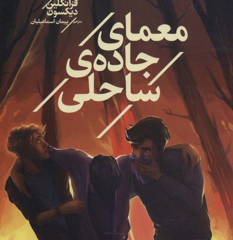 معمای جاده ساحلی از پسران هاردی 6