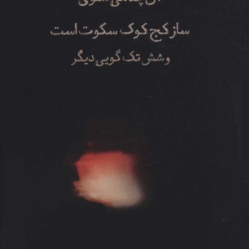 آن چه می شنوی ساز کج کوک سکوت است
