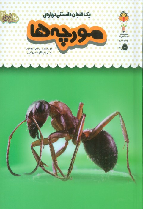 یک فنجان دانستنی درباره ی مورچه ها