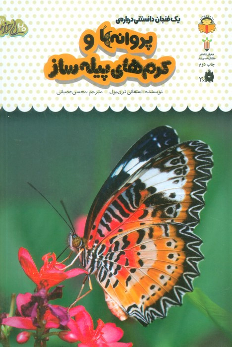یک فنجان دانستنی درباره ی پروانه ها