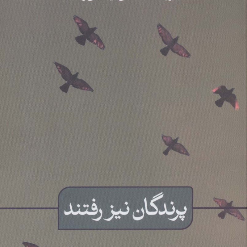 پرندگان نیز رفتند