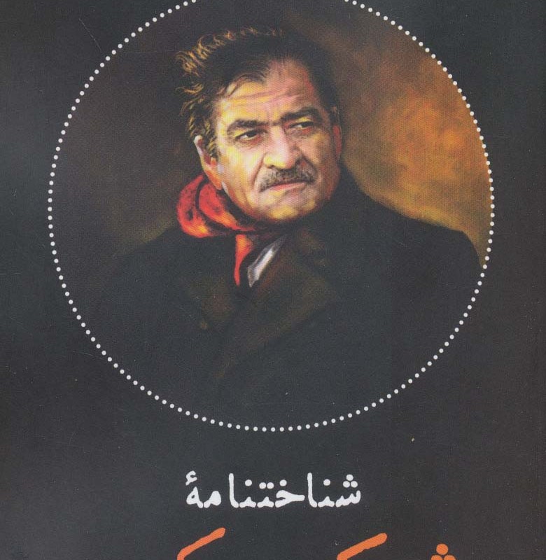 کتاب شناختنامه شیرکو بیکس