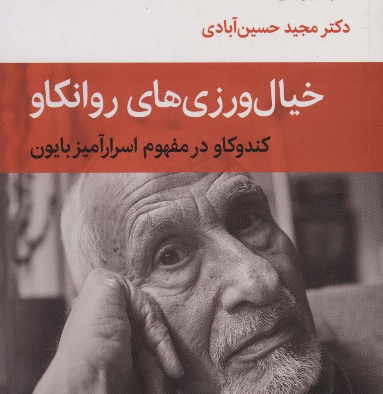 کتاب خیال ورزی های روانکاو