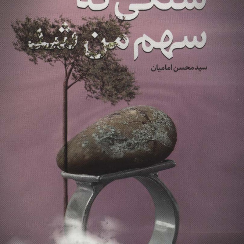 کتاب سنگی که سهم من شد