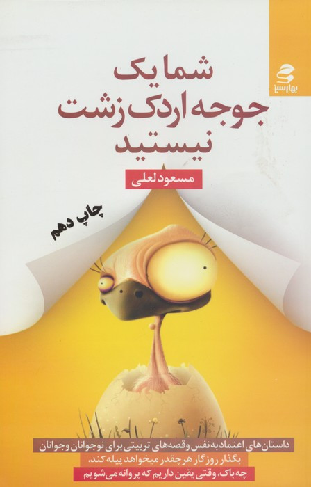 شما یک جوجه اردک زشت نیستید