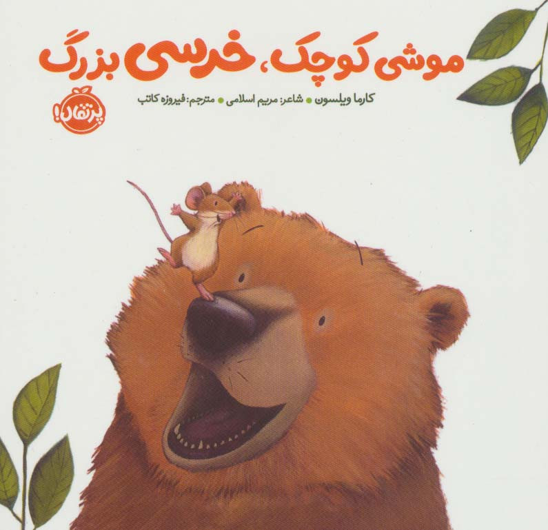 موشی کوچک خرسی بزرگ نشر پرتقال