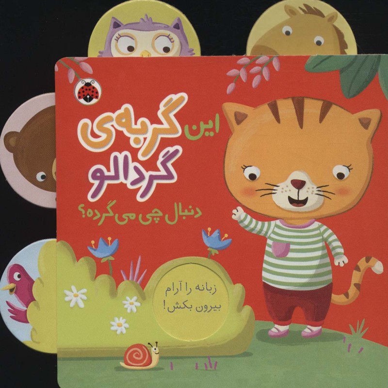 این گربه ی گردالو دنبال چی می گرده