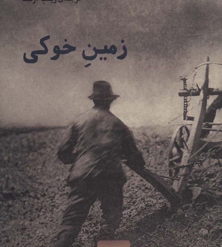زمین خوکی