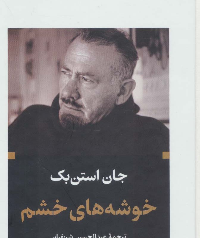 کتاب خوشه های خشم نشر نگاه قطع پالتوئی