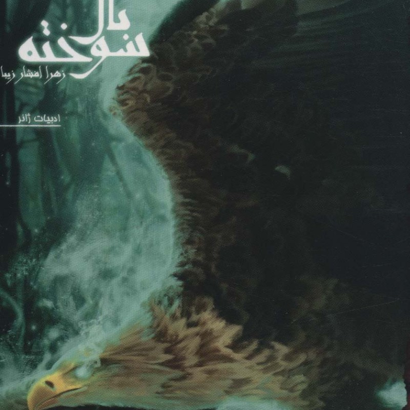 کتاب کابوس پرواز از نفرین بال سوخته 1