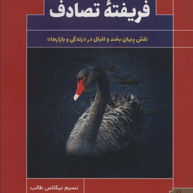 فریفته تصادف