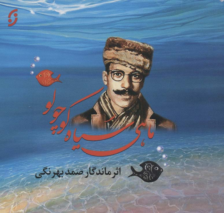 ماهی سیاه کوچولو نشر نخستین قطع خشتی کوچک